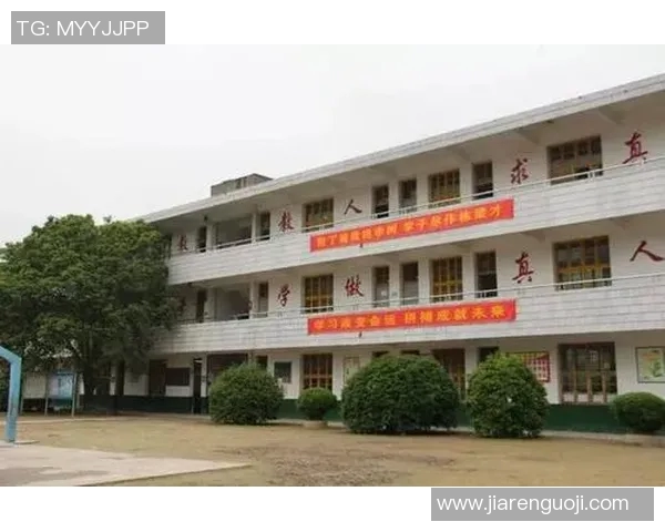 新化足球明星全景盘点与成就回顾及未来展望